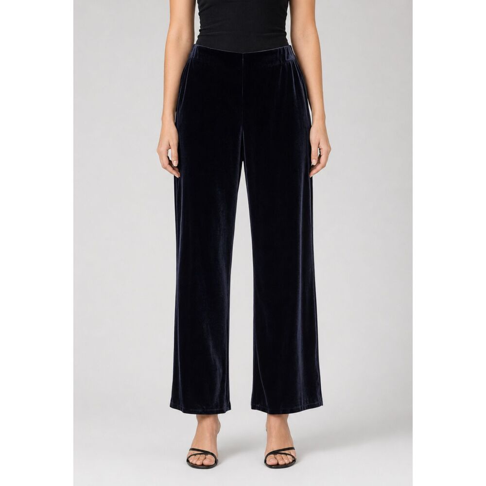 Alex Evenings Velvet Pull-on Pants Black 3X